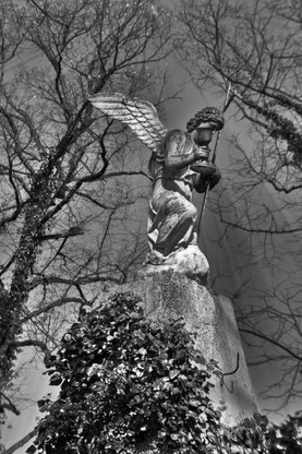 Statue eines Engels - Foto - schwarz-weiß