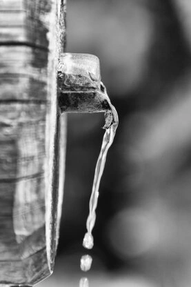 Wasser rinnt aus einem Brunnen - Foto - schwarz-weiß