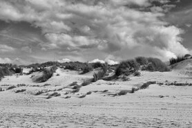 Dünen in Wenduine, Nordsee - Foto - schwarz-weiß