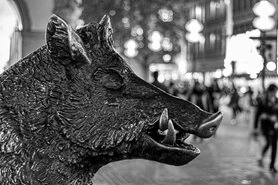 Sitzender Keiler Skulptur - Foto - schwarz-weiß